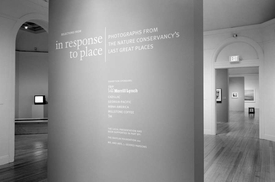 view exhibition image