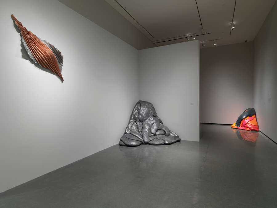 view exhibition image