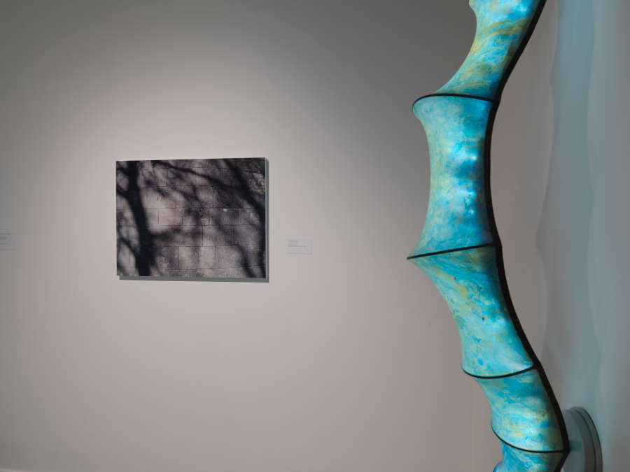 view exhibition image