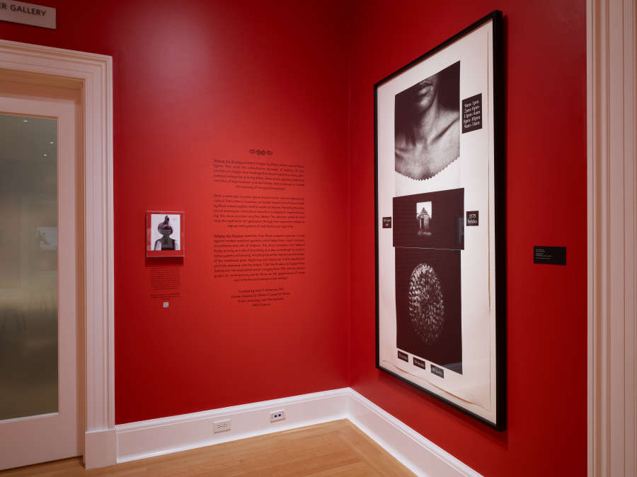 view exhibition image