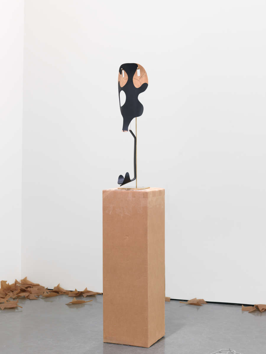 view exhibition image