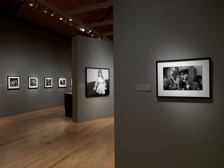 view exhibition image