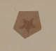 Brown paper cutout featuring a darker brown five pointed star motif, on a neutral backdrop.