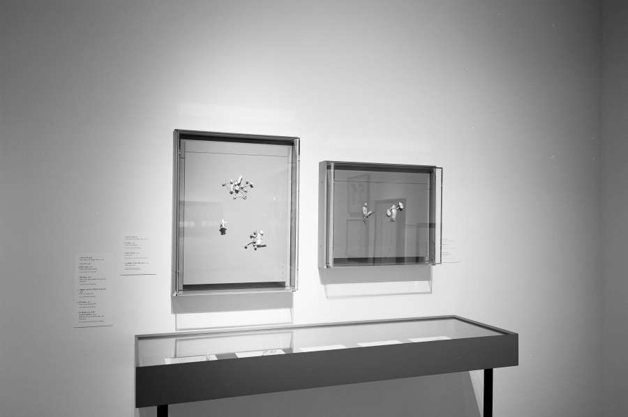 view exhibition image