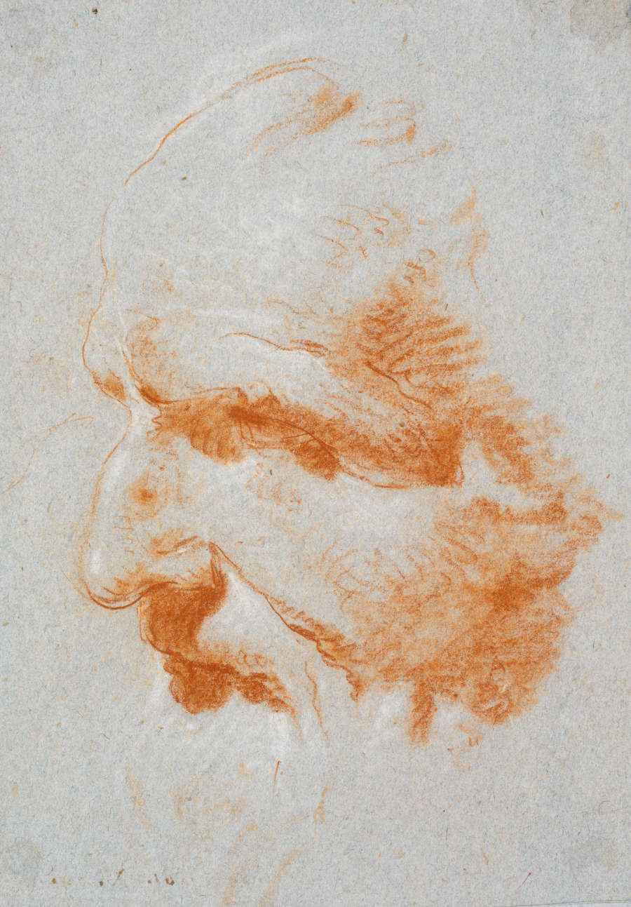 A red and white chalk study of Vittoria’s marble bust of Guilio Contarini. Contarini is seen in profile, his flowing beard and hair merging with the white of the page.