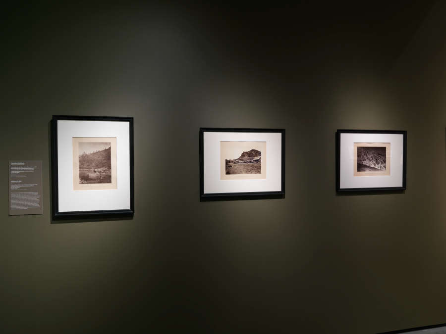view exhibition image