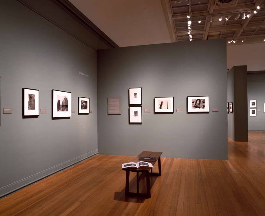 view exhibition image