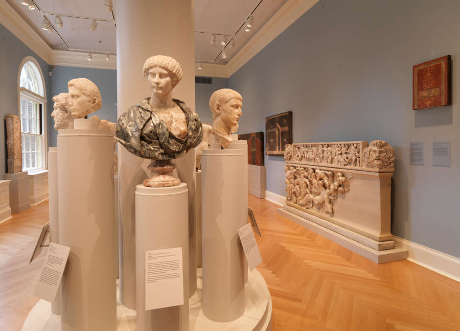 view exhibition image