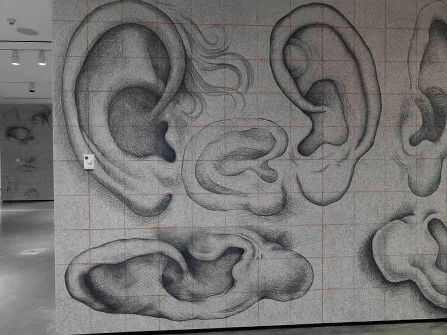 view exhibition image