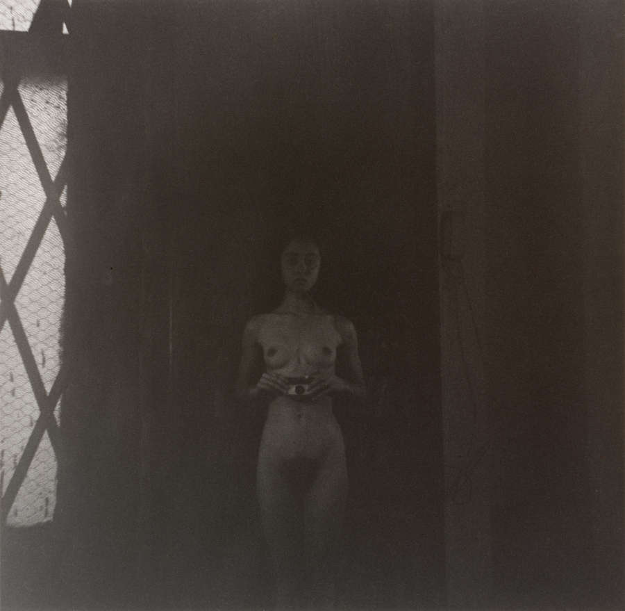 A dimly lit photograph of a nude figure holding a camera standing by a hatched window in soft light.