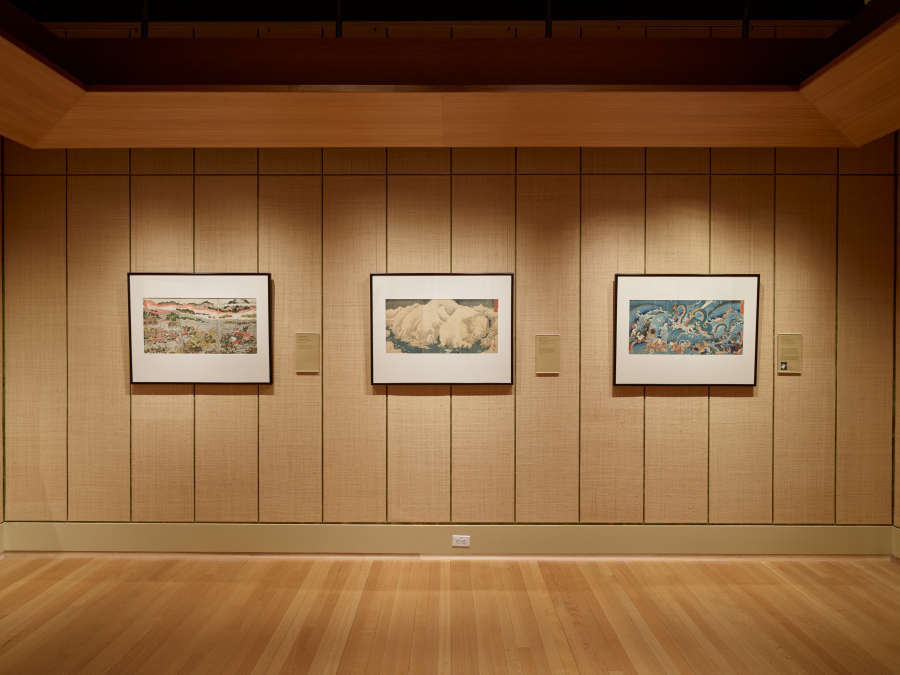 view exhibition image