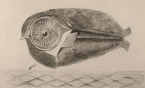 A black and white illustration depicting a strange fishlike form with an enlarged circular eye floating above a ground with a fence like pattern.