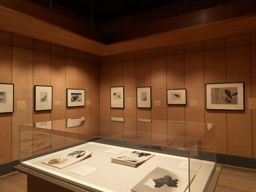 view exhibition image