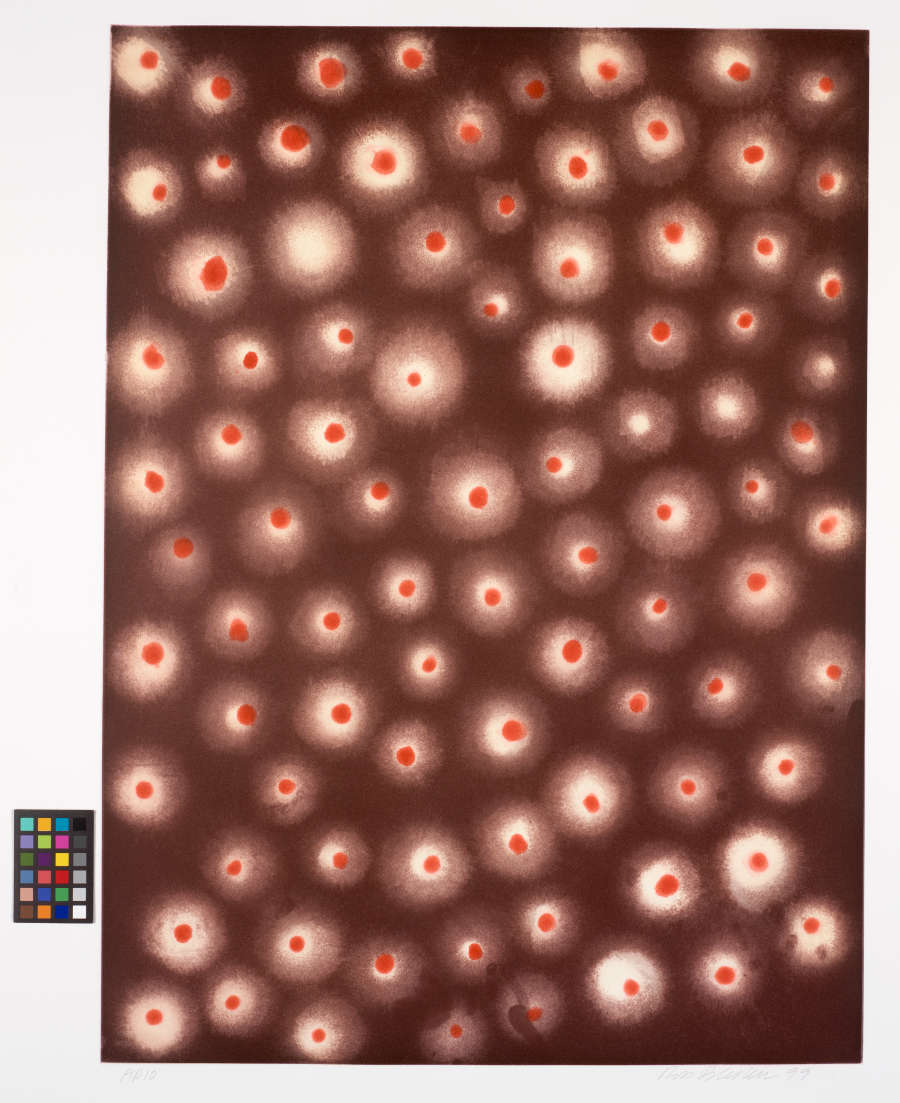 A print of white hazy circles of various sizes randomly spread across a warm brown background. All but four of the white circles contain a smaller red dot.