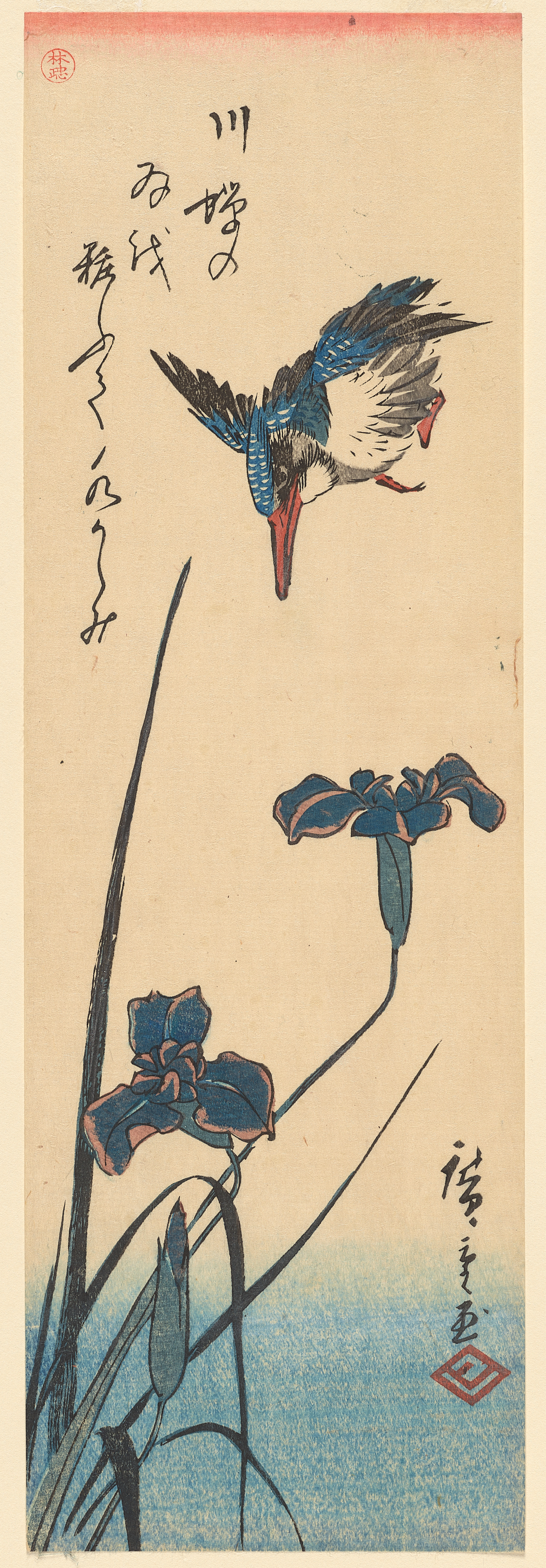 A blue bird with red accents dives towards tall purple flowers blooming from thin green stems above a blue ground which fades up into white. Above is thin looping calligraphy.