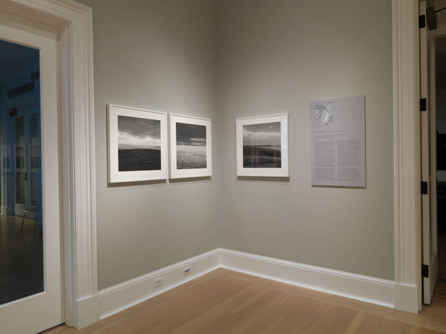 view exhibition image