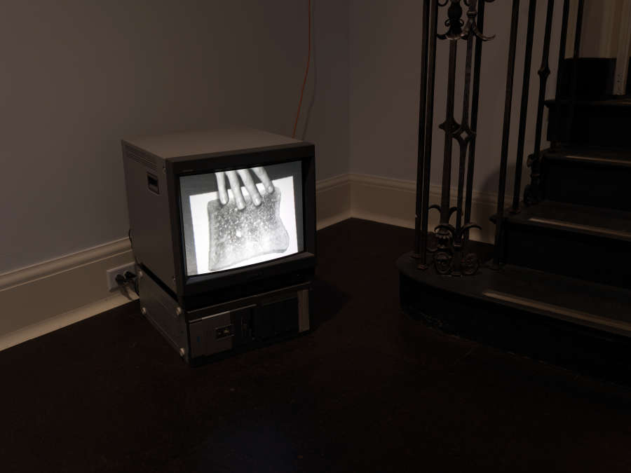 view exhibition image