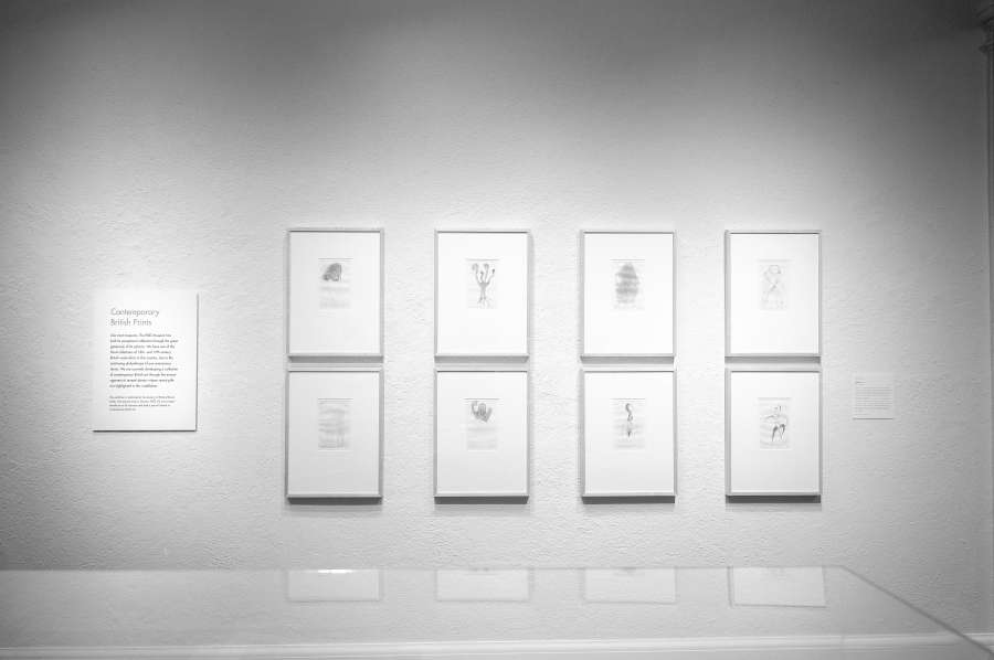 view exhibition image