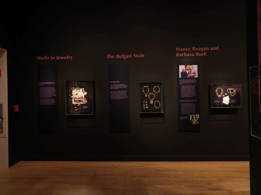 view exhibition image