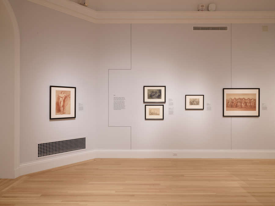 view exhibition image