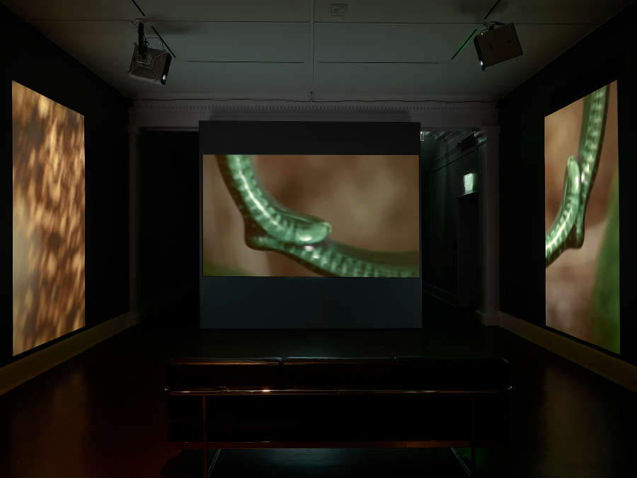 view exhibition image