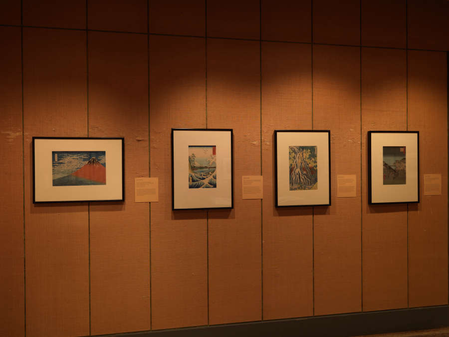 view exhibition image