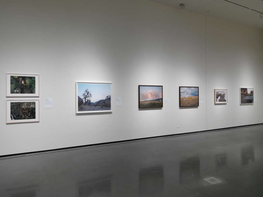 view exhibition image