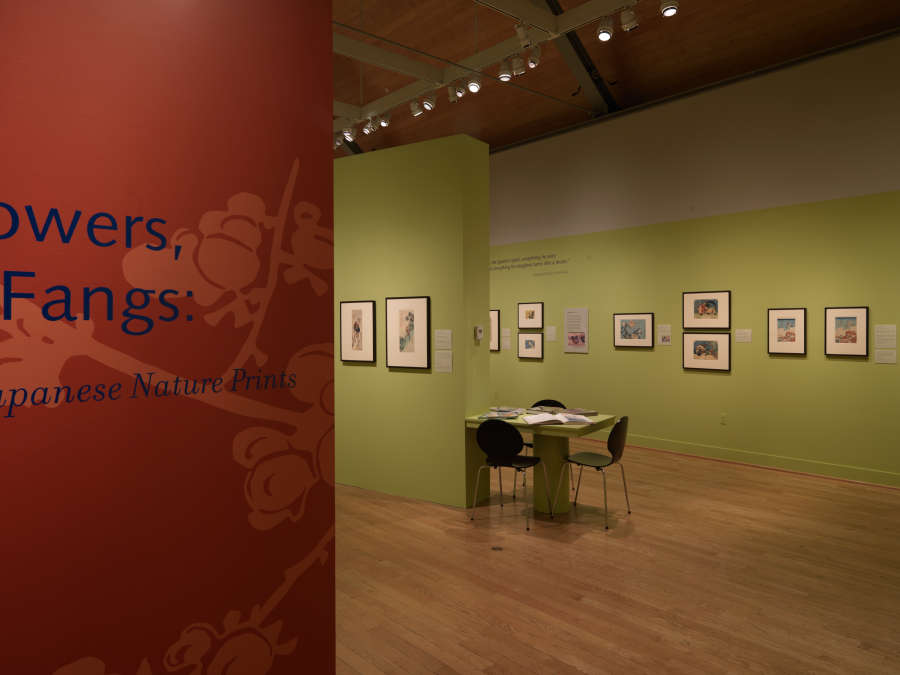 view exhibition image