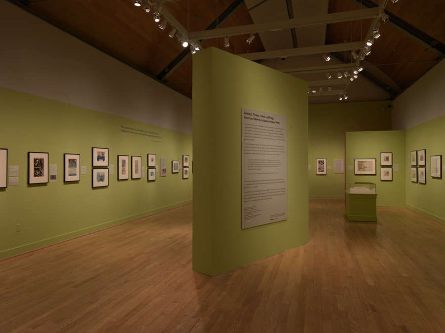 view exhibition image