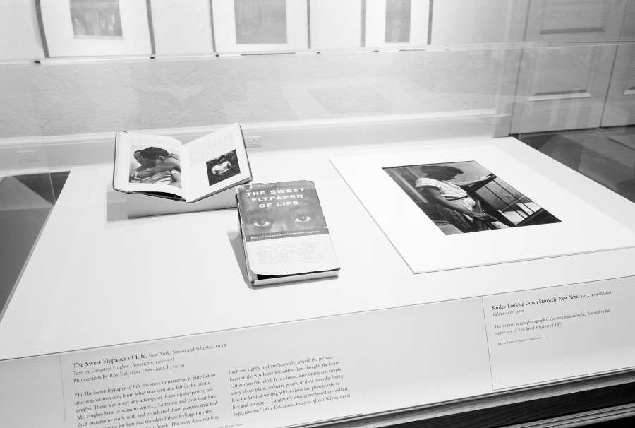 view exhibition image