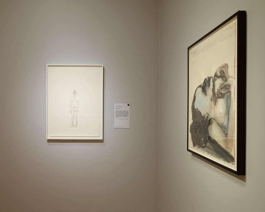 view exhibition image