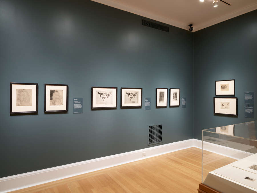 view exhibition image