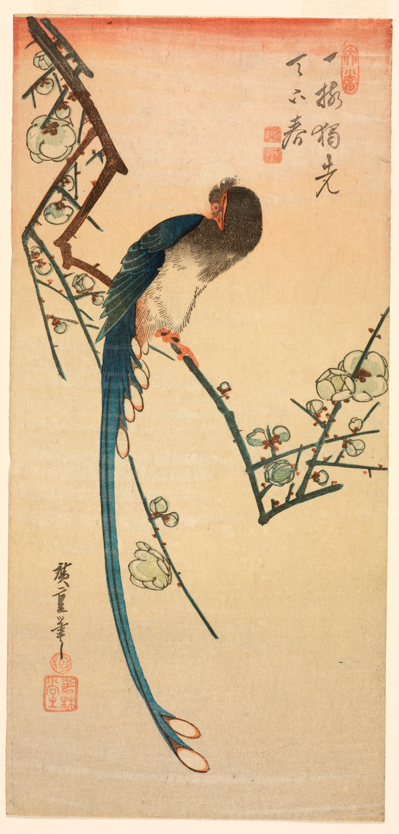 A long-tailed bird with teal plumage resting on an angled branch with blossoms, and vertical calligraphy against a fading orange background.