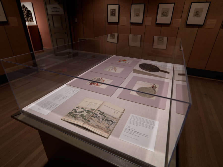 view exhibition image