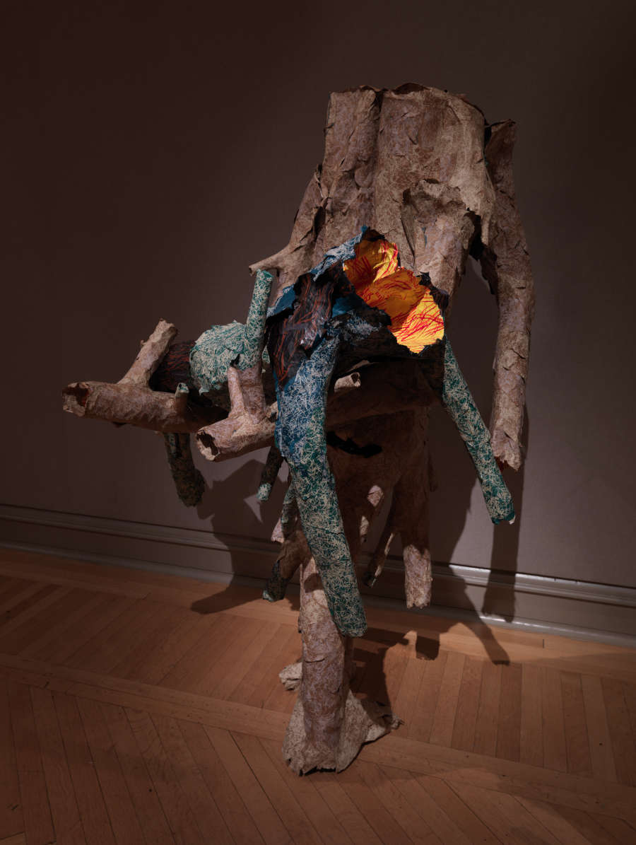 view exhibition image