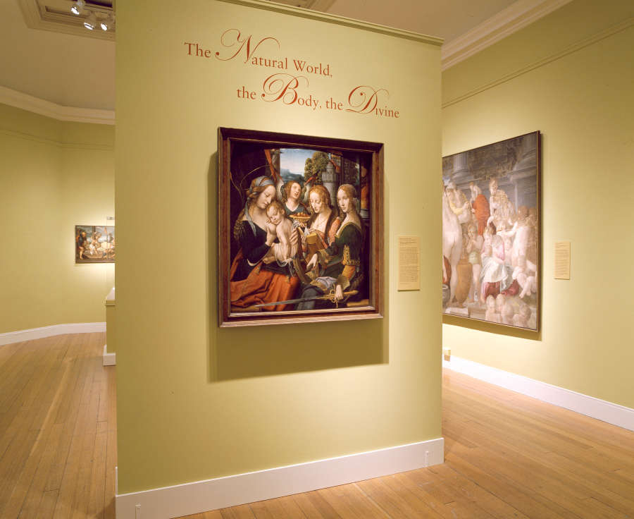 view exhibition image