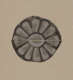 A circular emblem with light gray petals extending from the center set against a darker gray background, noticeably cut in half horizontally.