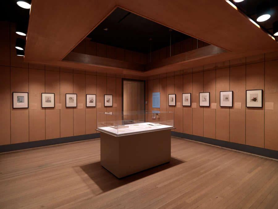 view exhibition image