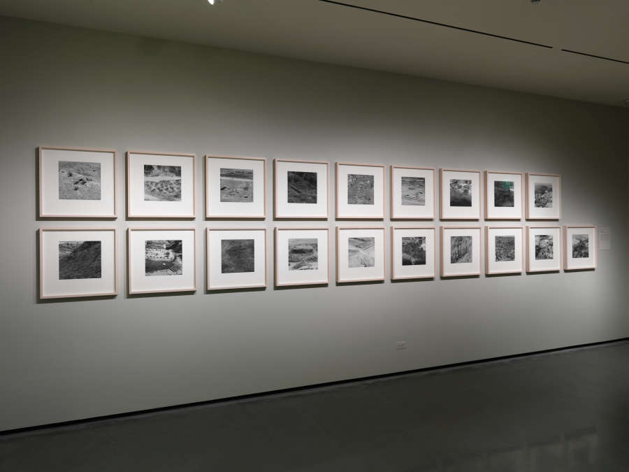 view exhibition image
