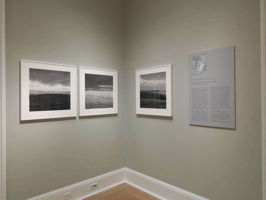 view exhibition image
