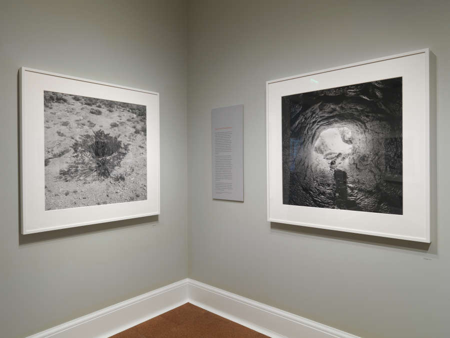 view exhibition image