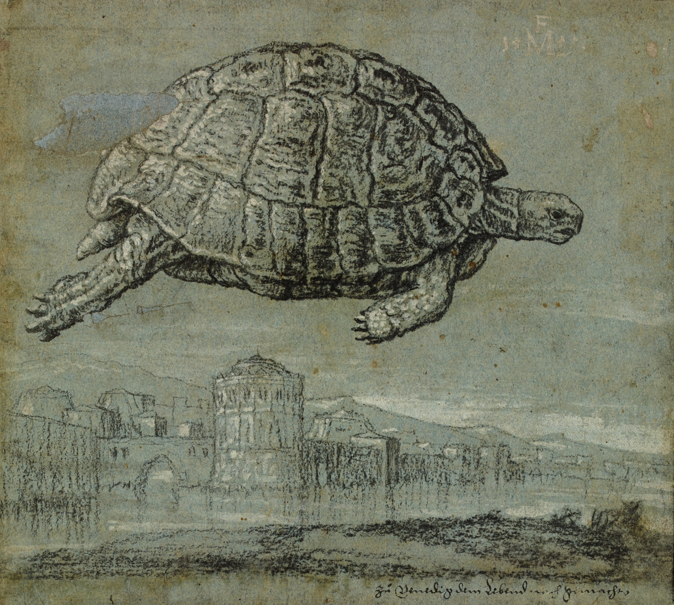 TL86.2017.56 Lorck_Tortoise and view of a walled, coastal town.jpg