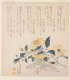 Woodblock print with handwritten Japanese text taking up the composition’s top half. The bottom half depicts an arrangement of light gray fresh fish and leafy stalks of blooming yellow flowers.