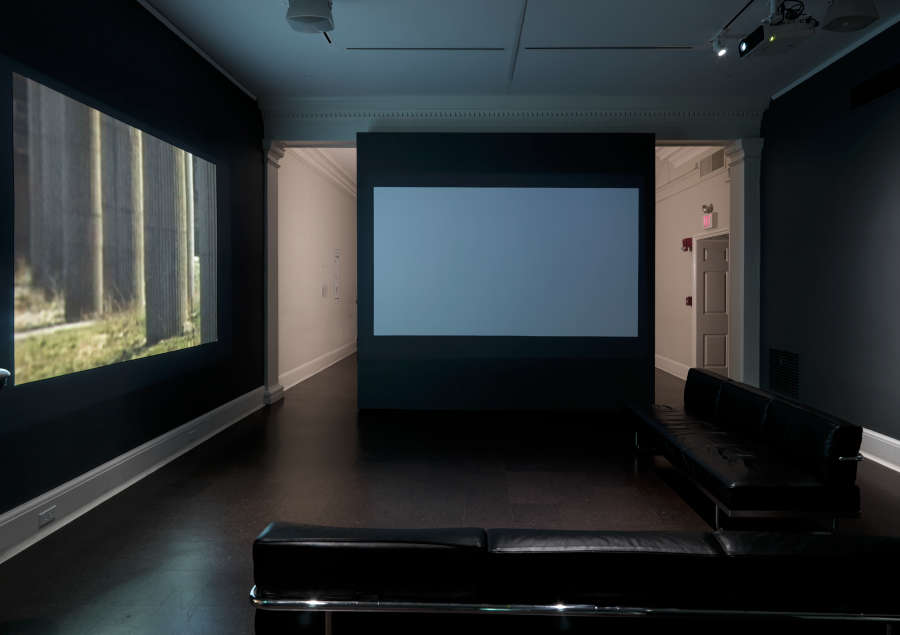 view exhibition image