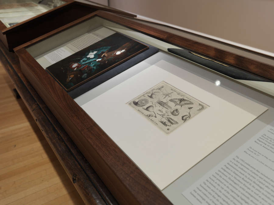 view exhibition image