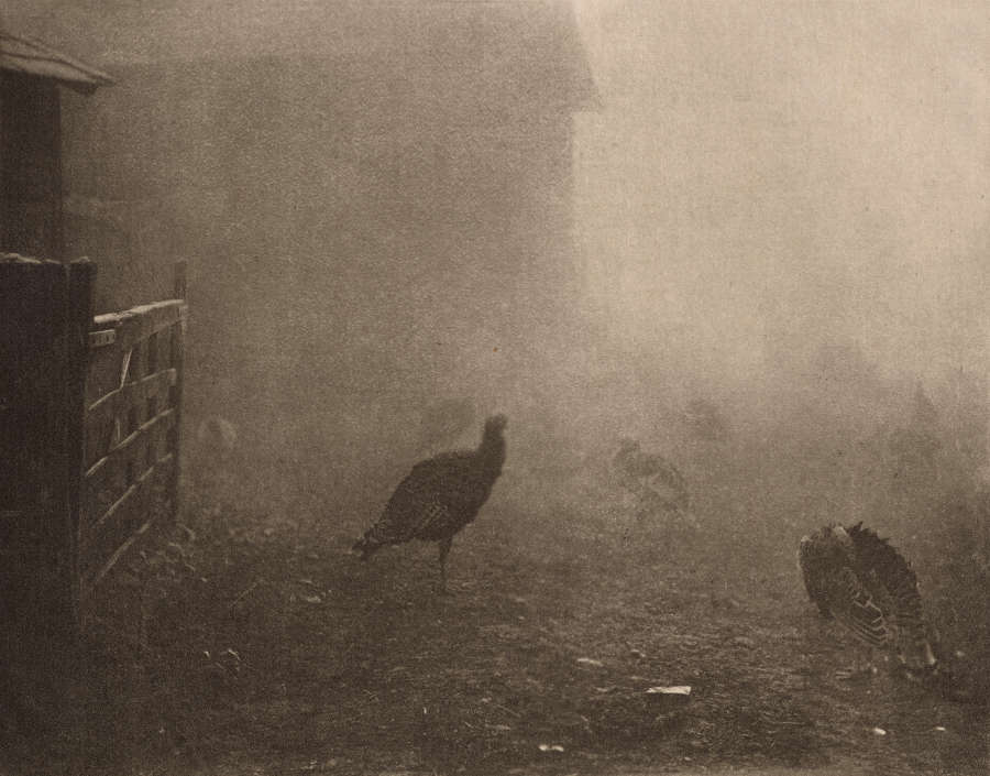 A hazy black and white image depicting an open farm pen with a large, dark bird-like figure in the center and the blurry form of a house in the background.