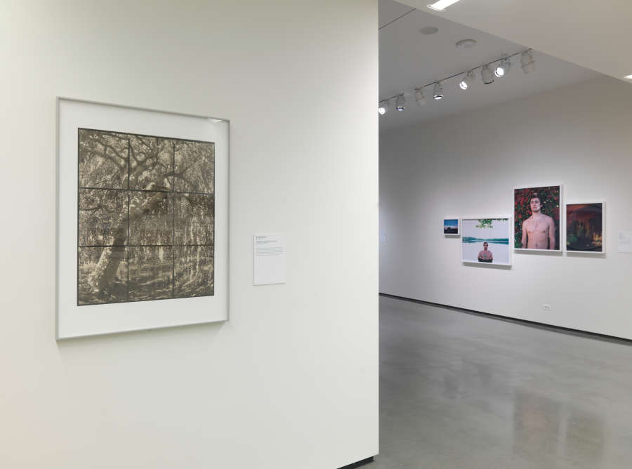 view exhibition image