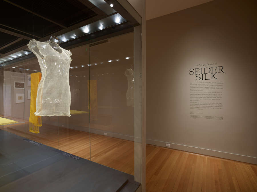 view exhibition image