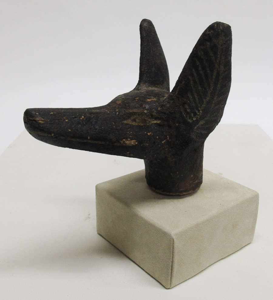 Dark brown sculpture of the head of a jackal, resting on a gray prism base. The ears are large and pointed and the snout is long and rather narrow. 