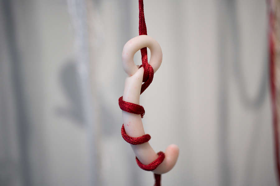 view exhibition image